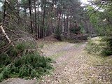 IMG_1143