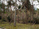 IMG_1144