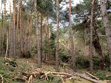 IMG_1145