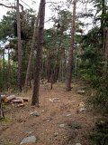 IMG_1147