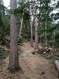 IMG_1148