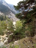 IMG_1152