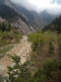 IMG_1154