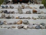 IMG_1164