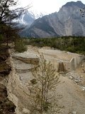 IMG_1165