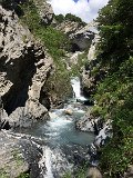 IMG_6545