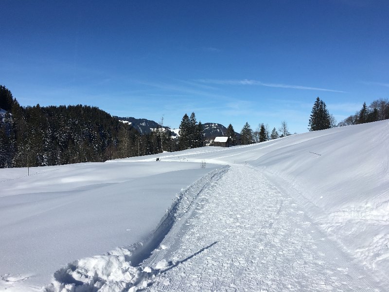IMG_7455.JPG - Mostelberg