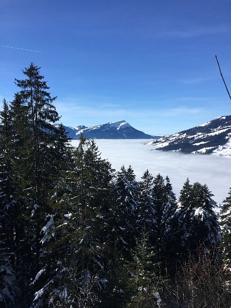 IMG_7496.JPG - Blick zur Rigi