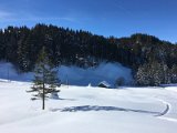 IMG_7456
