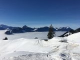 IMG_7465
