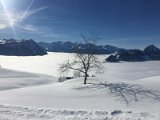 IMG_7469