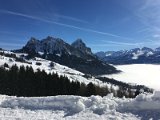 IMG_7478