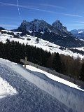 IMG_7482