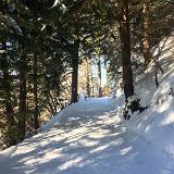IMG_7487