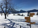 IMG_7489