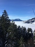 IMG_7496