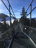IMG_7502