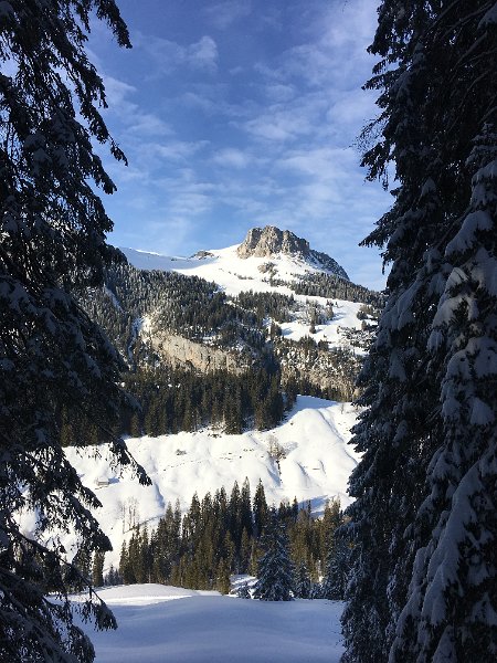 IMG_7616.JPG - Schibegtsch