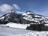 IMG_7519