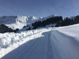 IMG_7524