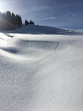 IMG_7525