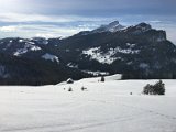 IMG_7607