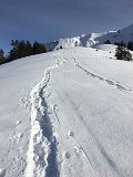 IMG_7610