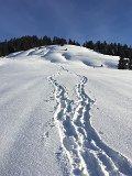 IMG_7622