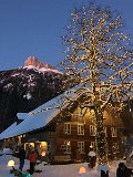 IMG_7630