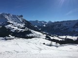 IMG_7641
