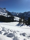 IMG_7646