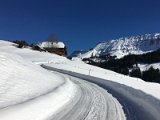 IMG_7653