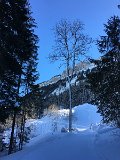 IMG_7663