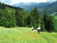 DSCF0033b.jpg (213855 Byte)