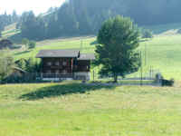DSCF0117b.jpg (191106 Byte)