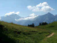 DSCF0126.jpg (112155 Byte)