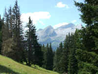 DSCF0128b.jpg (166482 Byte)