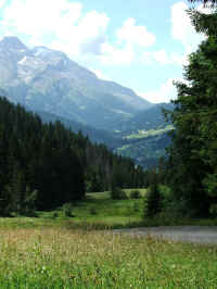 DSCF0131.jpg (161789 Byte)