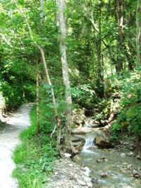 DSCF0132.jpg (247476 Byte)
