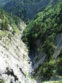 DSCF0212.jpg (228195 Byte)