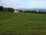 IMG_1255