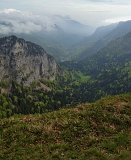 IMG_1256