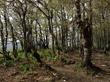 IMG_1258