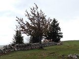 IMG_1260