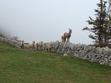 IMG_1262