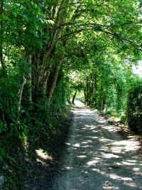 DSCF1875.jpg (84268 Byte)