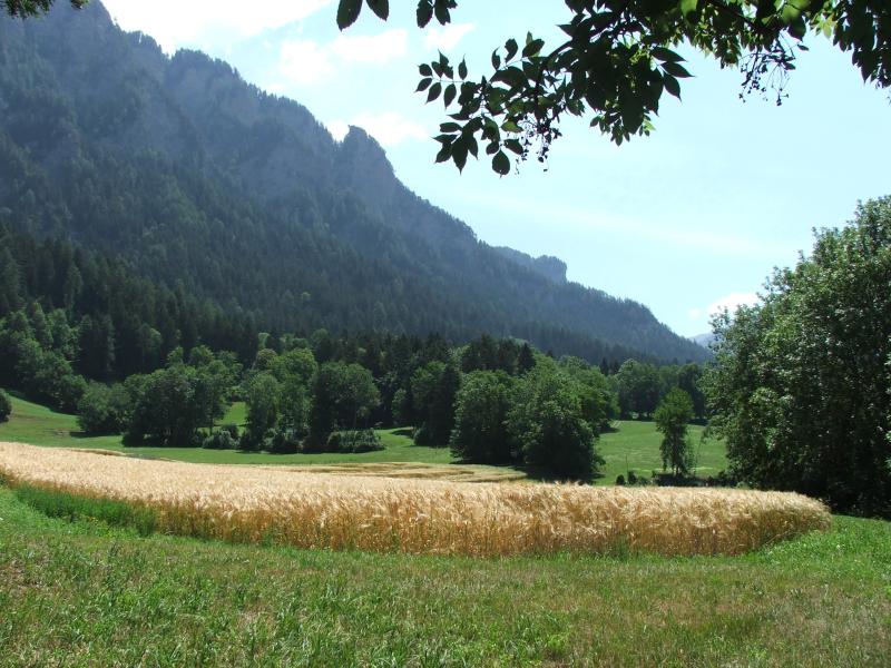 DSCF1879.jpg (89315 Byte)