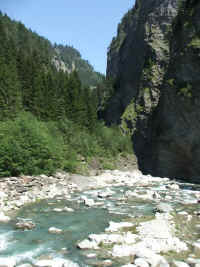 DSCF1909.jpg (57481 Byte)