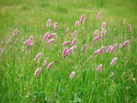 DSCF1921.jpg (99611 Byte)