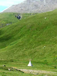 DSCF1933.jpg (53976 Byte)
